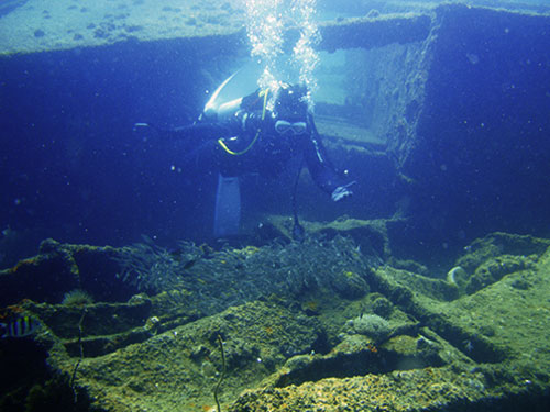 20130207_菲律賓潛水